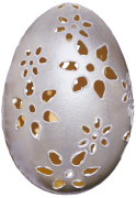 egg 37 listi